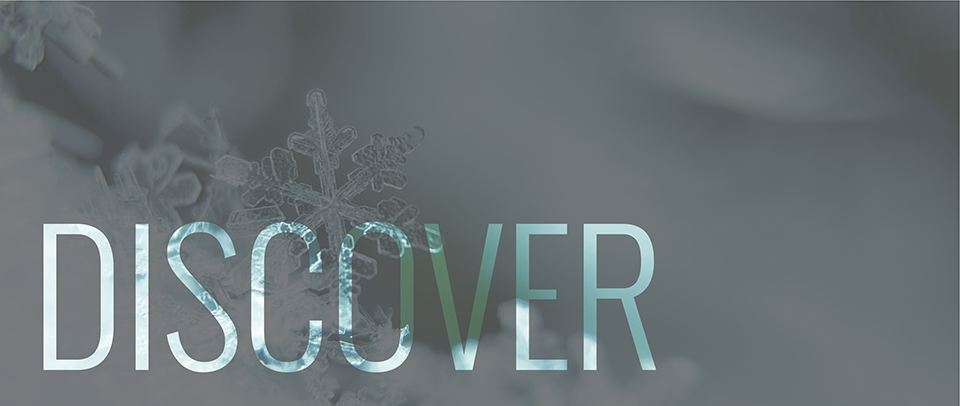 Discover Header