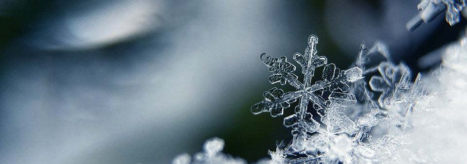 Snowflake image behind 'Where we are now'